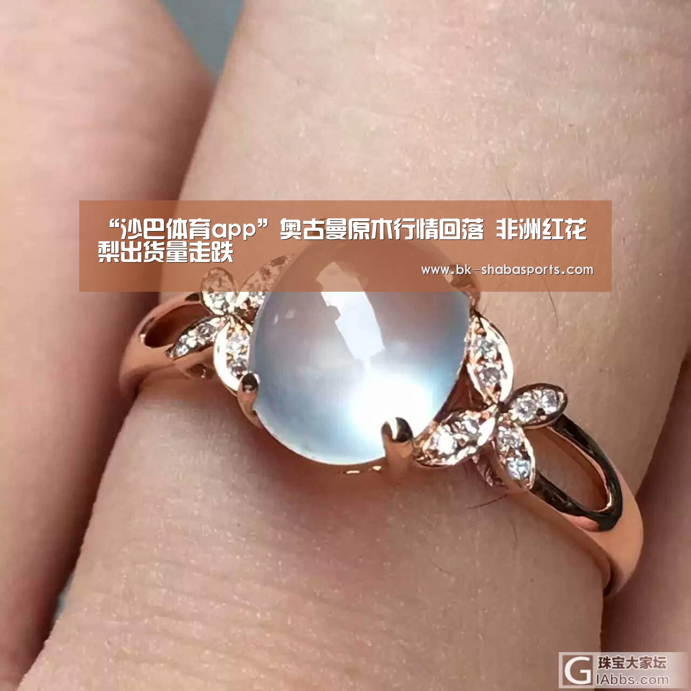 沙巴体育平台