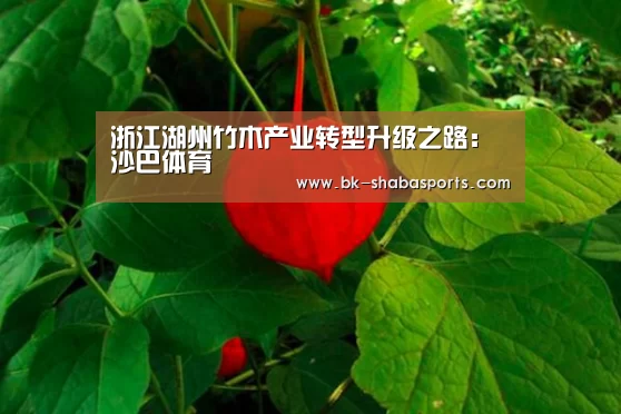 沙巴体育官网