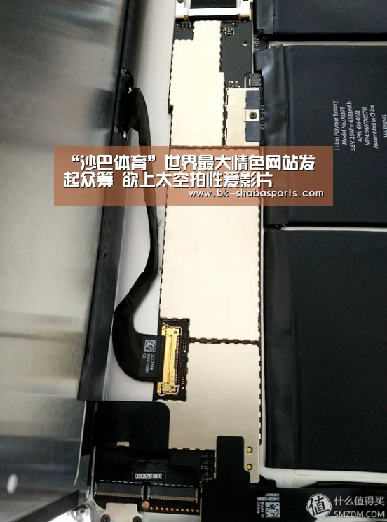 沙巴体育平台