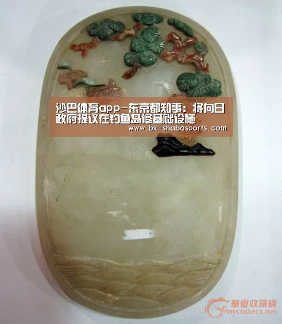 沙巴体育app-东京都知事：将向日政府提议在钓鱼岛修基础设施