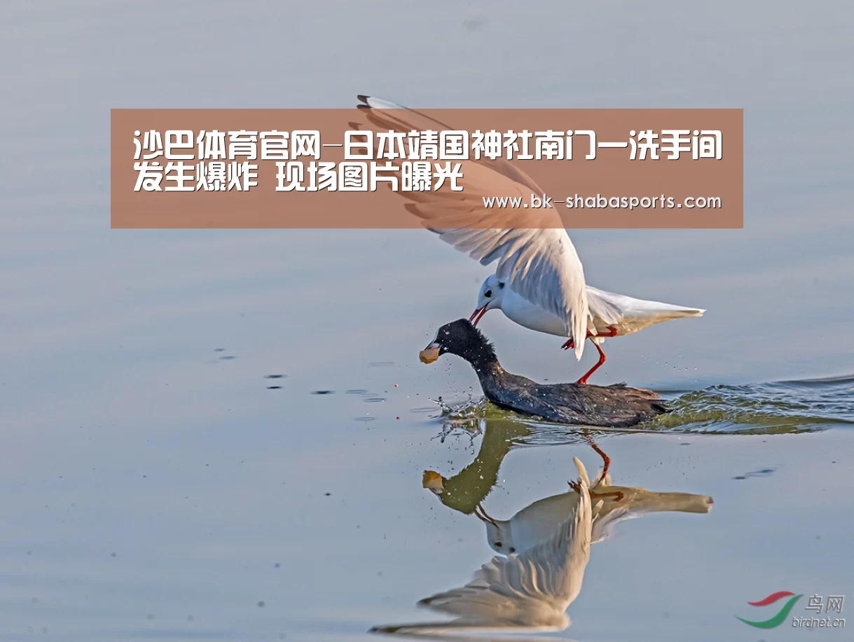 沙巴体育app